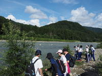 河原でヤナギの分類の実習